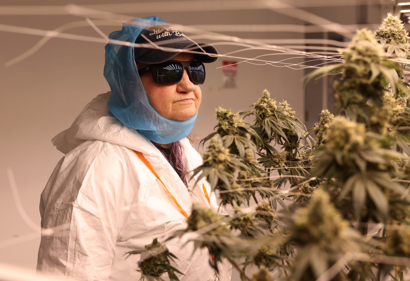 Roberta Brodin, 71, got a tour of the grow house at Thrive Dispensary in Quincy on March 5.