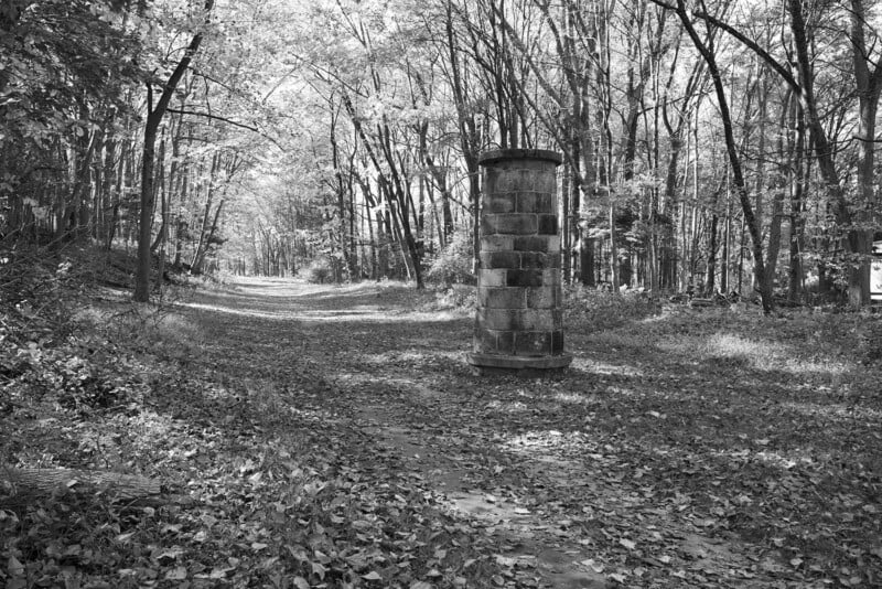 A stone column stands alone on a leaf-covered path in a forest. Sunlight filters through the trees, casting shadows on the ground. The scene appears peaceful and deserted.