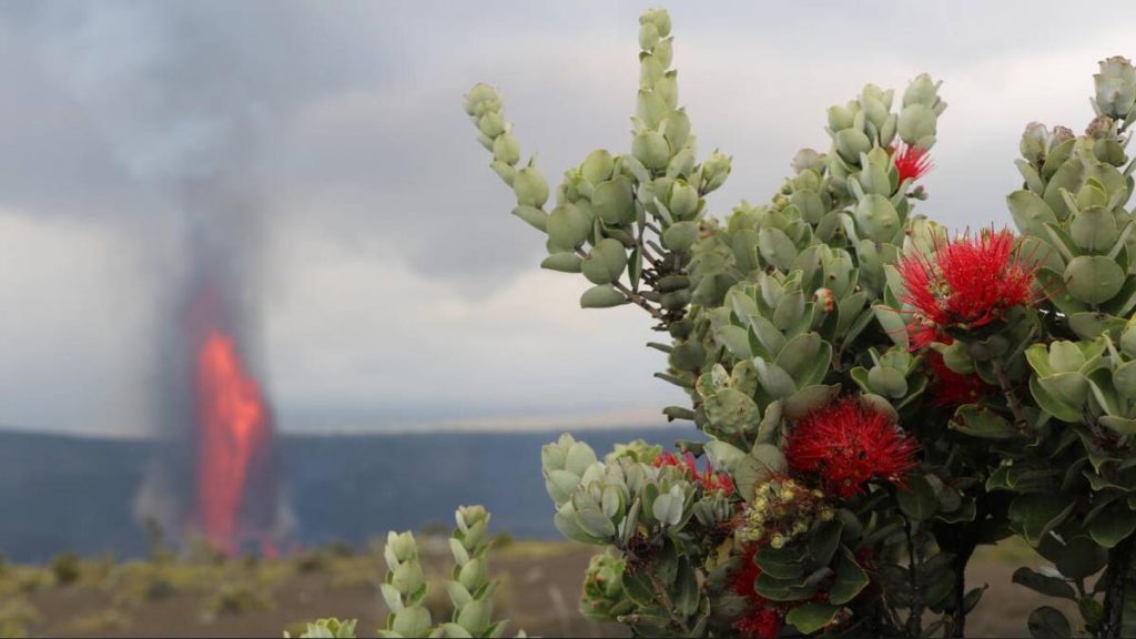 Volcano Watch: Pele, Lono and Hiʻiaka remind us of nature’s power : Big Island Now