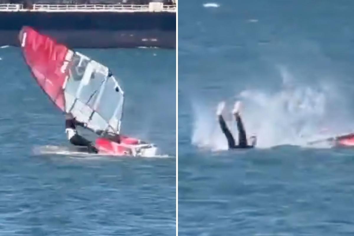 Windsurfer collides with whale in unbelievable video