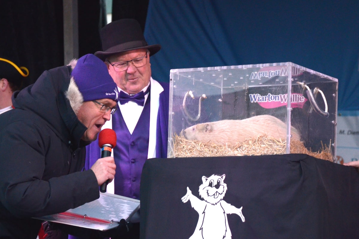 Ontario’s beloved groundhog Wiarton Willie dies