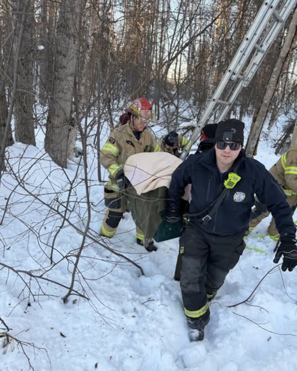 Crews used a ladder to reach the injured juvenile eagle and transport it for treatment