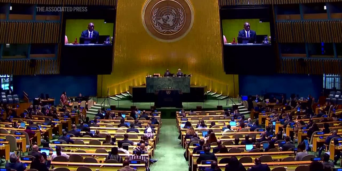 UN calls for reparations to remedy the ‘historical wrongs’ of trafficking enslaved Africans
