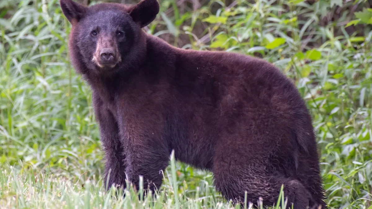 Yahoo lifestyle home