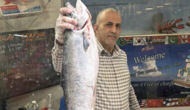 New renderings released of renovated Buffalo Broadway Market