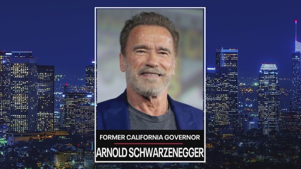 The Issue Is: Arnold Schwarzenegger in Austria