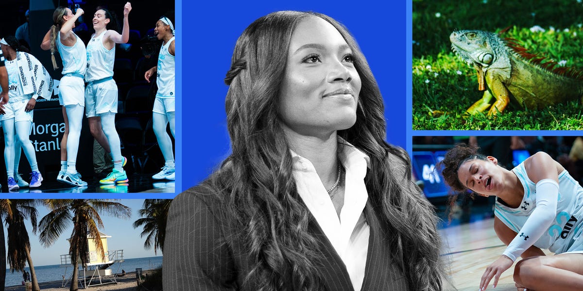 Basketball Star Naz Hillmon's Photos from Unrivaled