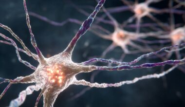 Neuroscience News logo for mobile.