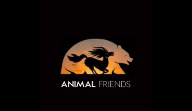 Ryan Reynolds and Jason Momoa's 'Animal Friends' Shifts to 2027