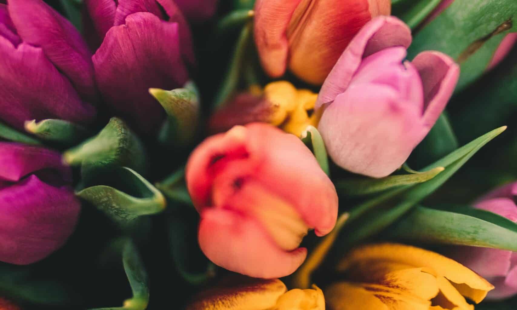 Only the Good Stuff: Multivitamins For Your Weekend {03.21.2026}