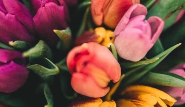 Only the Good Stuff: Multivitamins For Your Weekend {03.21.2026}