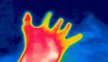 Artificial Intelligence Hand Analysis