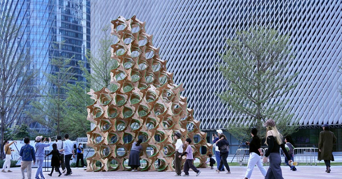 interlocking star modules build a porous timber installation