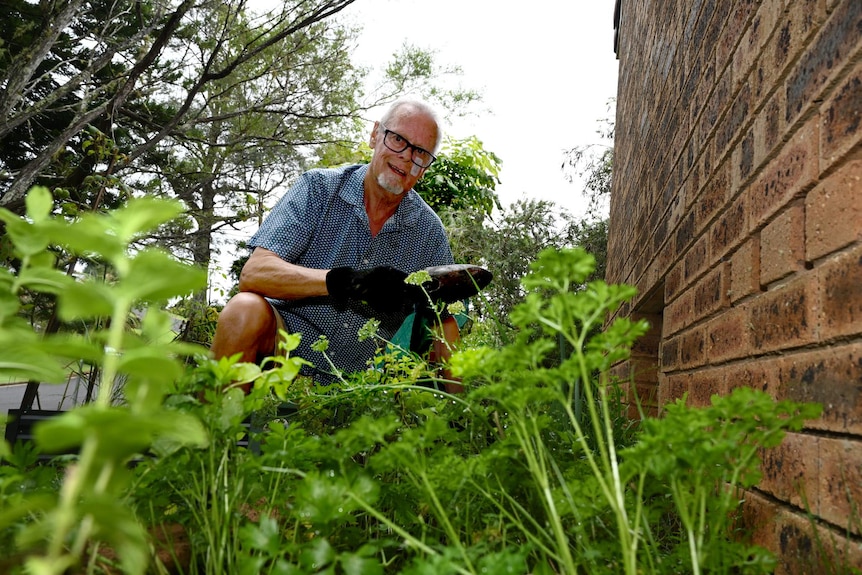 an older man kneels in a garden next to a brick wall