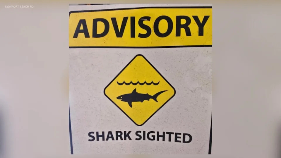Newport Beach shark sighting sign