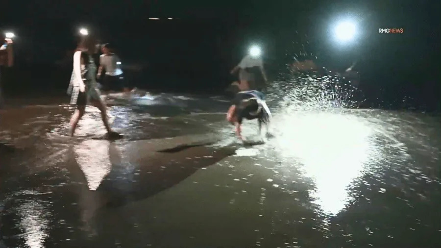 People catch grunion fish by hand at night during spawning run at Cabrillo Beach in San Pedro
