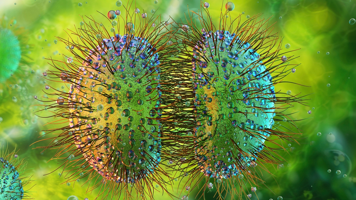 'Unprecedented' Meningitis Outbreak in UK Spreads to 27 Cases : ScienceAlert