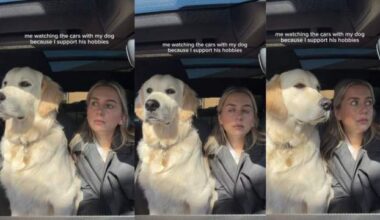 Yahoo lifestyle home