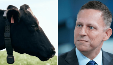 Peter Thiel is betting big on a $2B AI cow collar startup powered by cowgorithms — and investors are fighting to get in