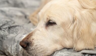 Yahoo lifestyle home