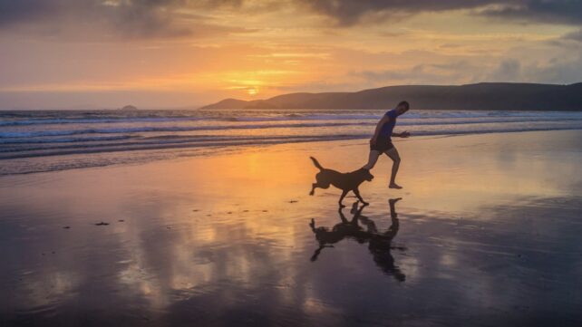 person running with dog on a beach at sunset
