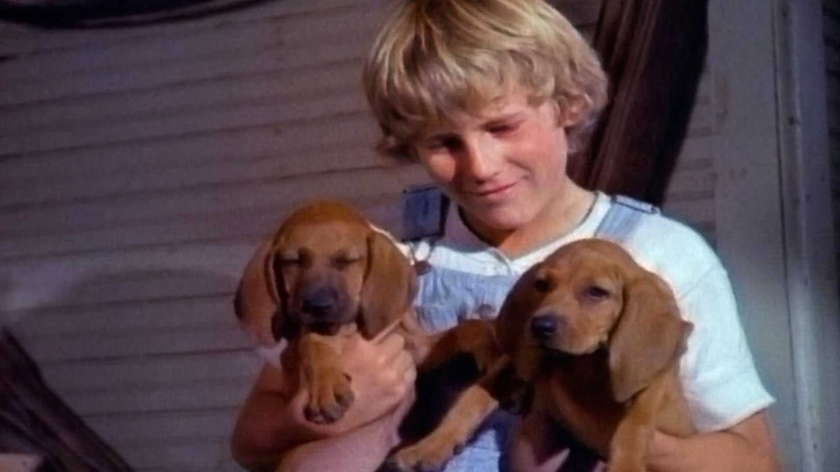 Billy holding his puppies in Where the Red Fern Grows