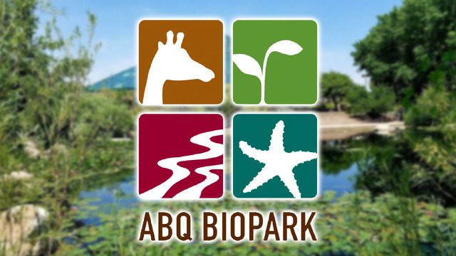 Albuquerque BioPark celebrates polar bear Kiska on awareness day