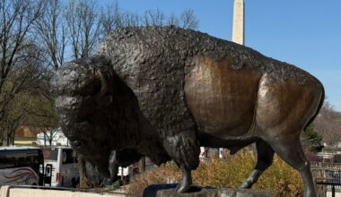 bison statue