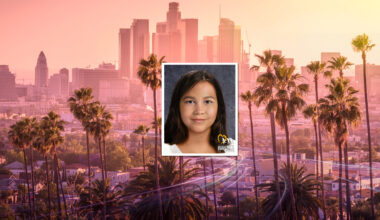 age progression of karen with shoulder length brown wavy hair; LA skyline and palm trees in background