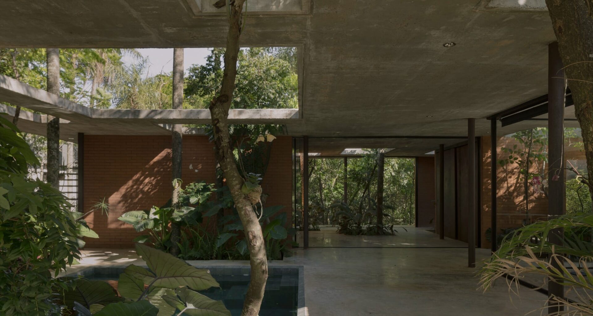 The interior of a contemporary concrete, glass, and steel home amid trees and tropical plants, some of which grow through apertures in the ceiling