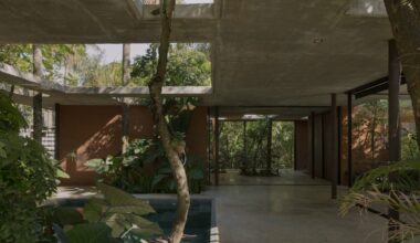 The interior of a contemporary concrete, glass, and steel home amid trees and tropical plants, some of which grow through apertures in the ceiling