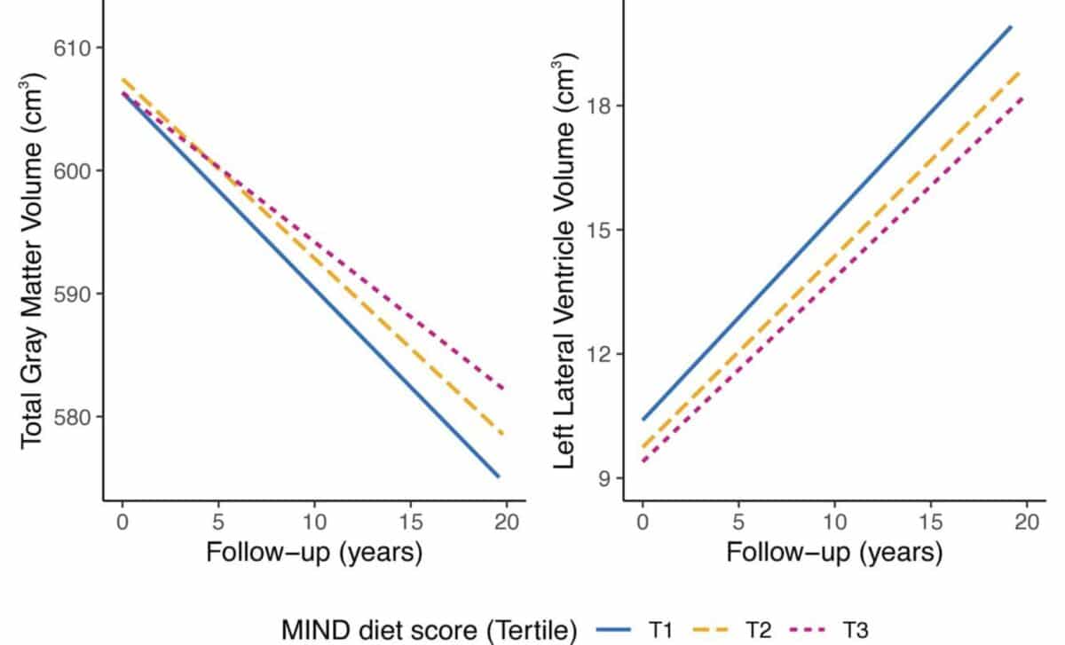 Brain Scans Vs. Diet How 12 Years Of Mri Data Revealed The Mind Diet's Effect On Aging. © Journal Of Neurology Neurosurgery & Psychiatry