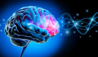 ADHD brains show sleep-like activity even while awake