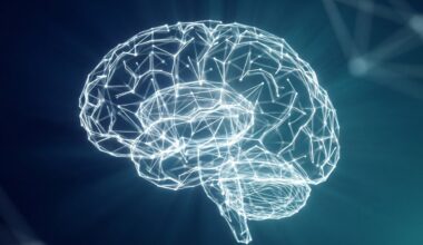 Brain scans of Buddhist monks reveal how different meditation styles alter consciousness