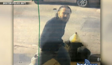 Boston police looking to ID suspect in brazen break-in in Roxbury - Boston News, Weather, Sports