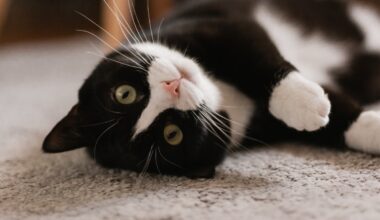 Yahoo lifestyle home