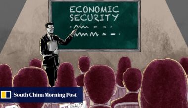 Economic Security 101: why China’s officials now have to study rare earths and supply chains