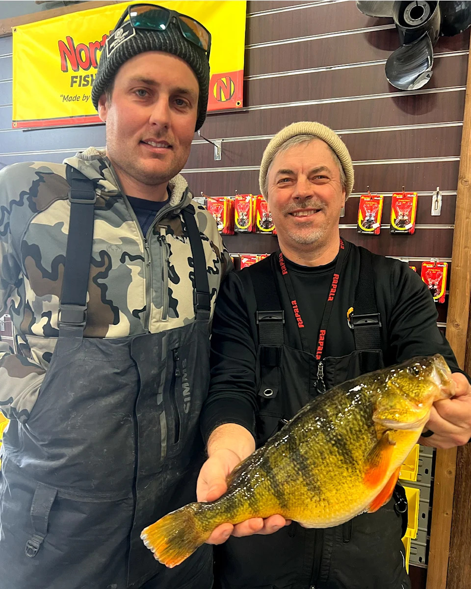 Two ice fishermen with a big yellow perch.