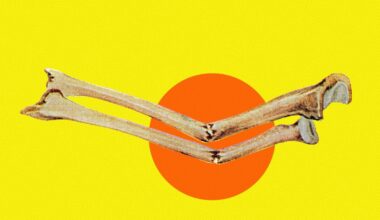 Atmospheric CO2 Getting So High That It's Weakening Human Skeletons