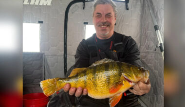 Yahoo lifestyle home