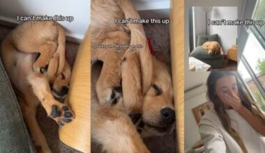 Yahoo lifestyle home