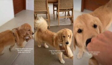 Yahoo lifestyle home