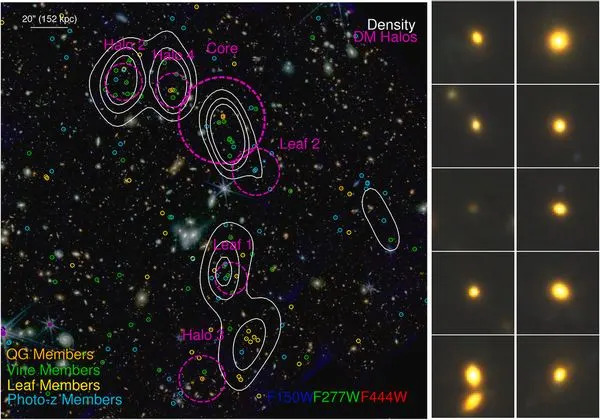 Image of a bunch of stars and galaxies in space. Some galaxies, spread throughout the image, are circled in green — those are the galaxies of the vine. Various clusters and groups of galaxies are suffered. To the right are images of individual galaxies, none of which are very detailed.