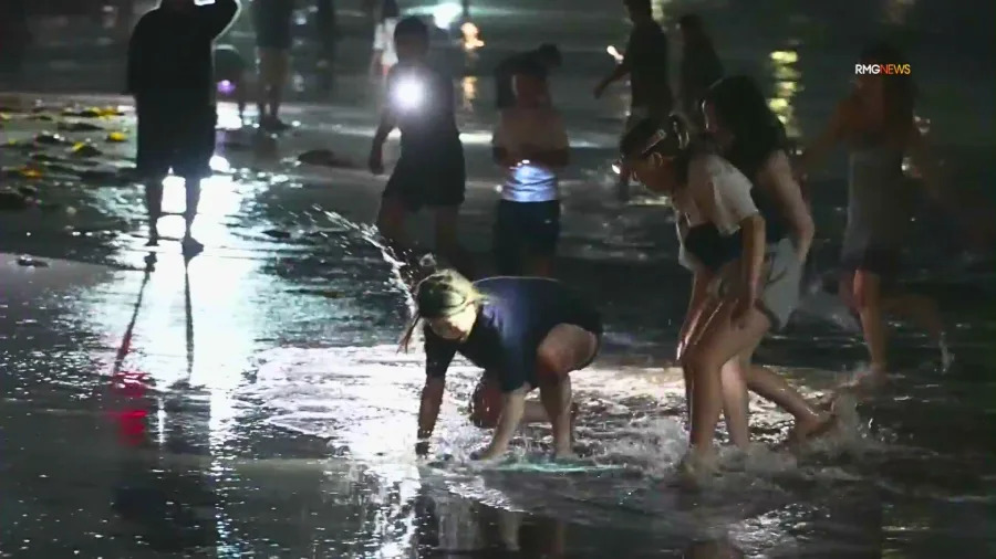 People catch grunion fish by hand at night during spawning run at Cabrillo Beach in San Pedro
