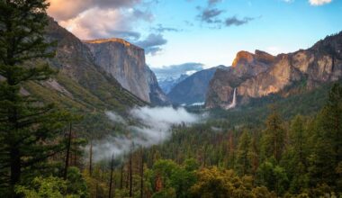 California bill proposes grizzly bear reintroduction plan