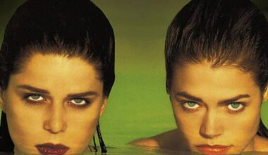 9 Must-See Movies That Prove Florida Is the Wildest State in America