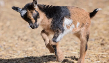 Yahoo lifestyle home