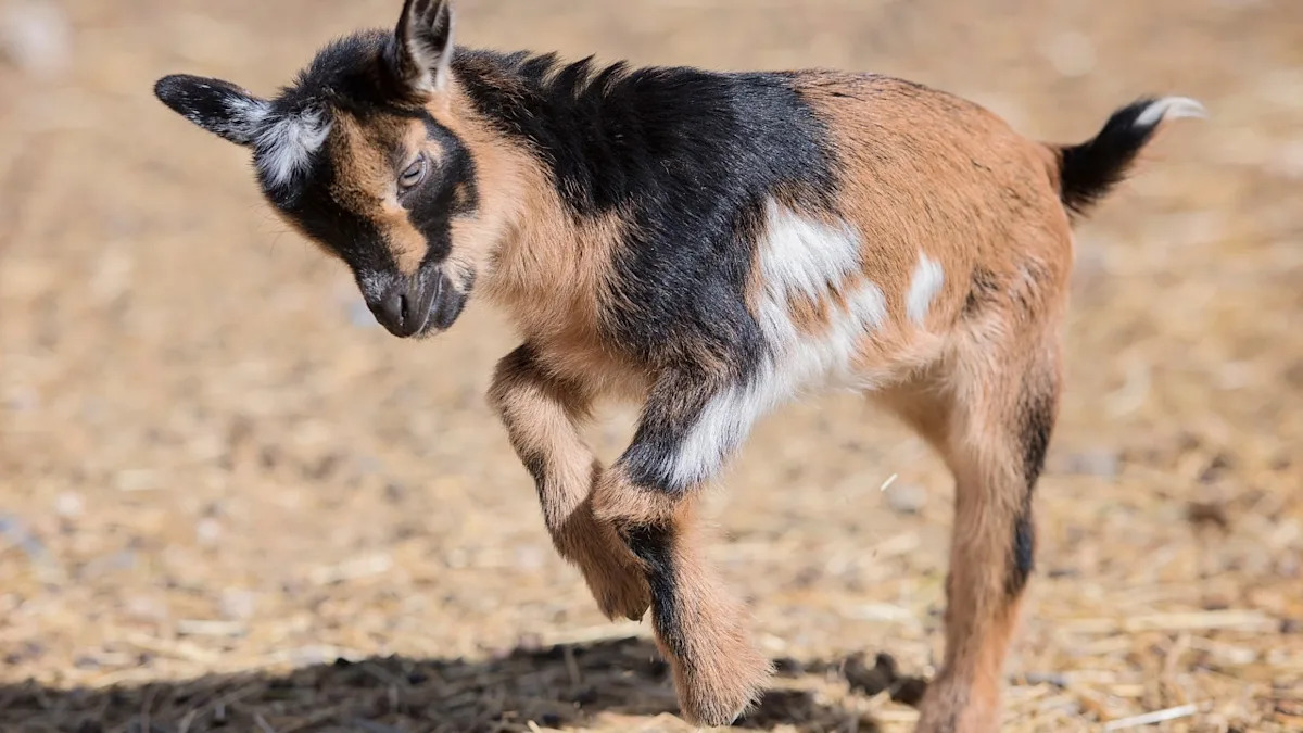 Yahoo lifestyle home