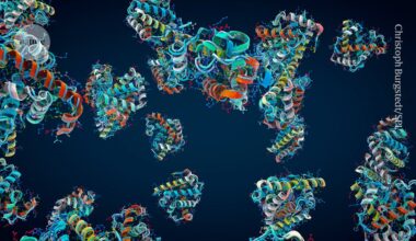 How fast does a protein fold? Real-time technique captures the moment