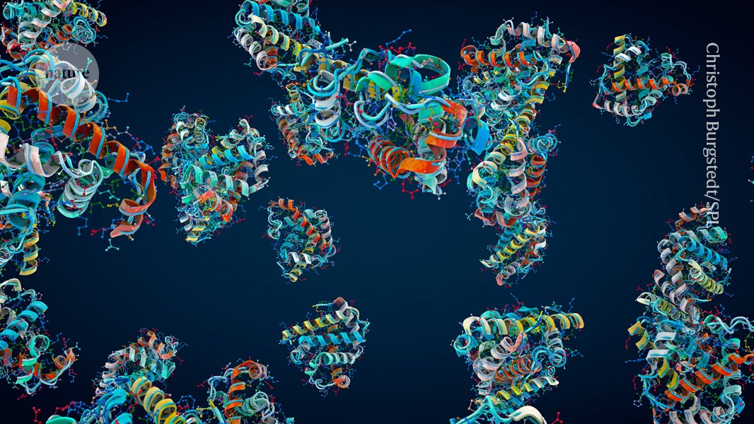 How fast does a protein fold? Real-time technique captures the moment